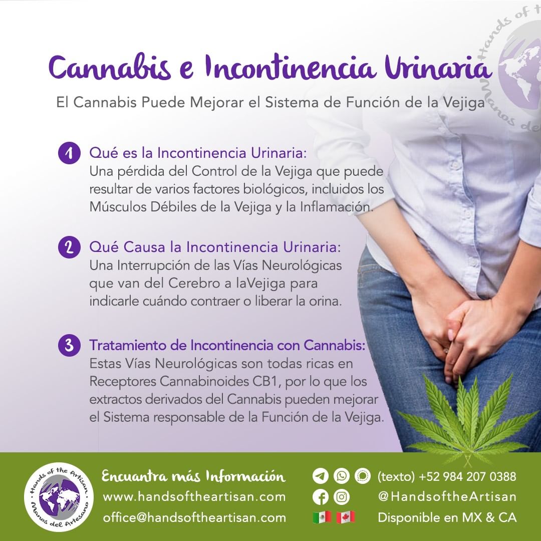 Cannabis e Incontinencia Urinaria