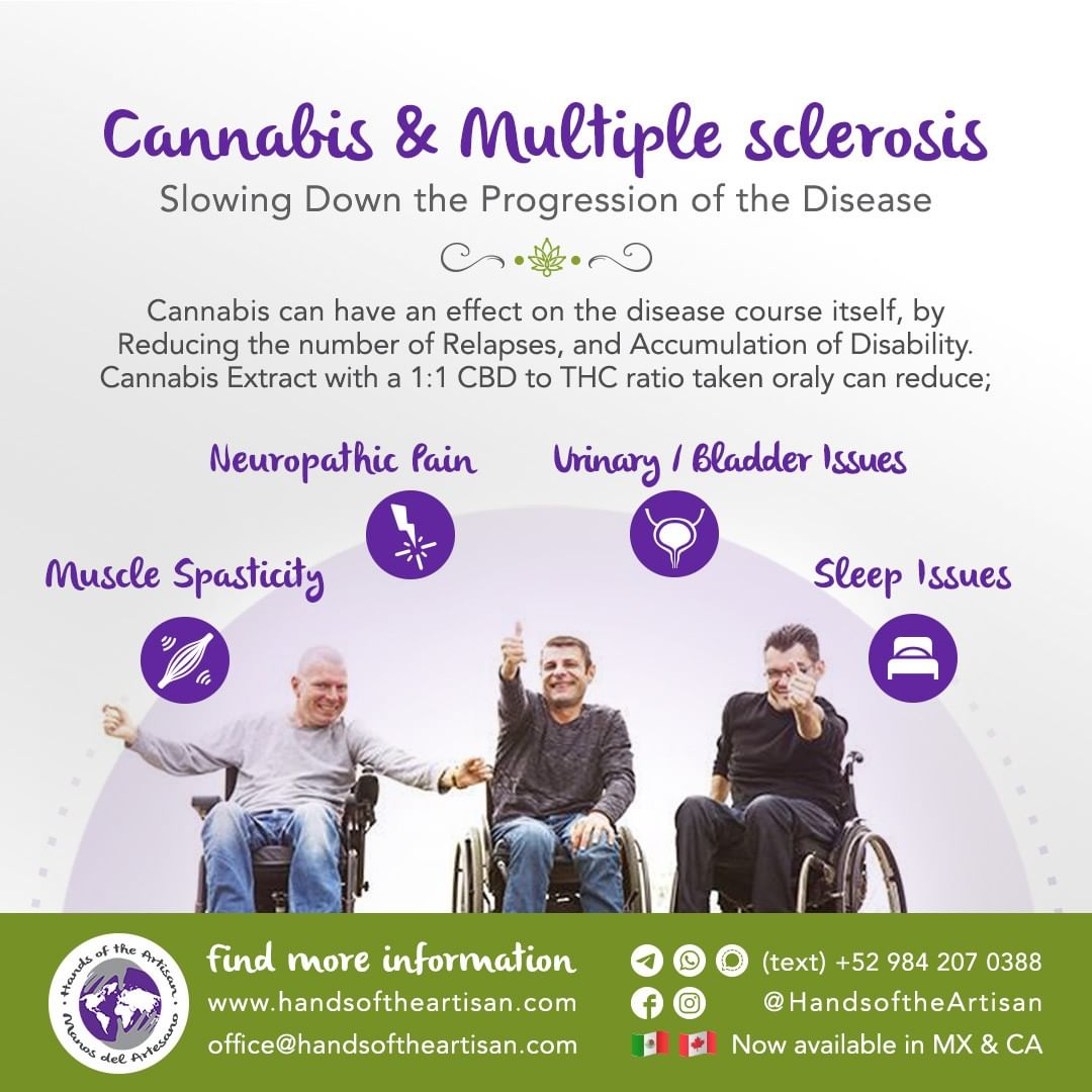 Cannabis & Multiple Sclerosis