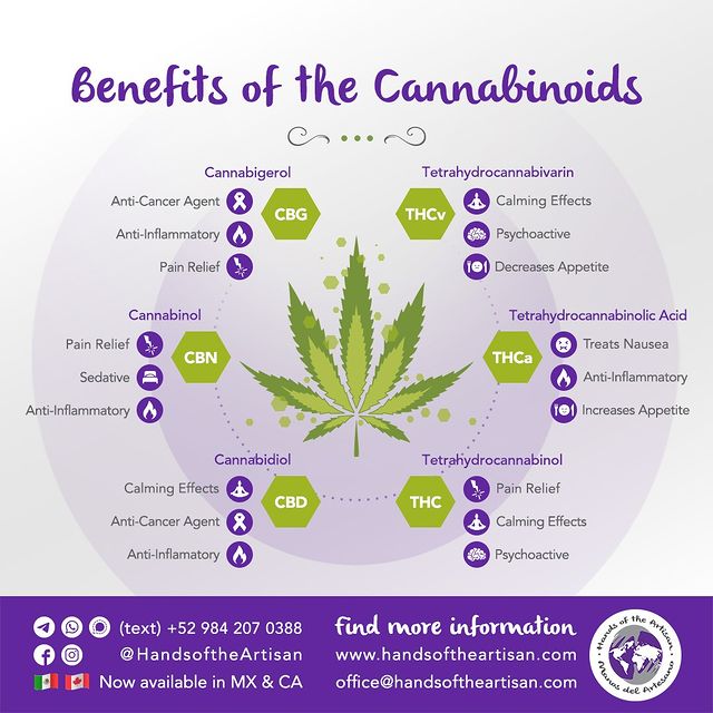 Benefits of the Cannabinoids