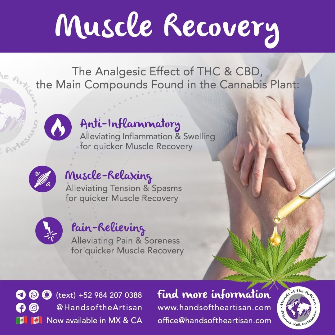 Muscle Recovery with CBD