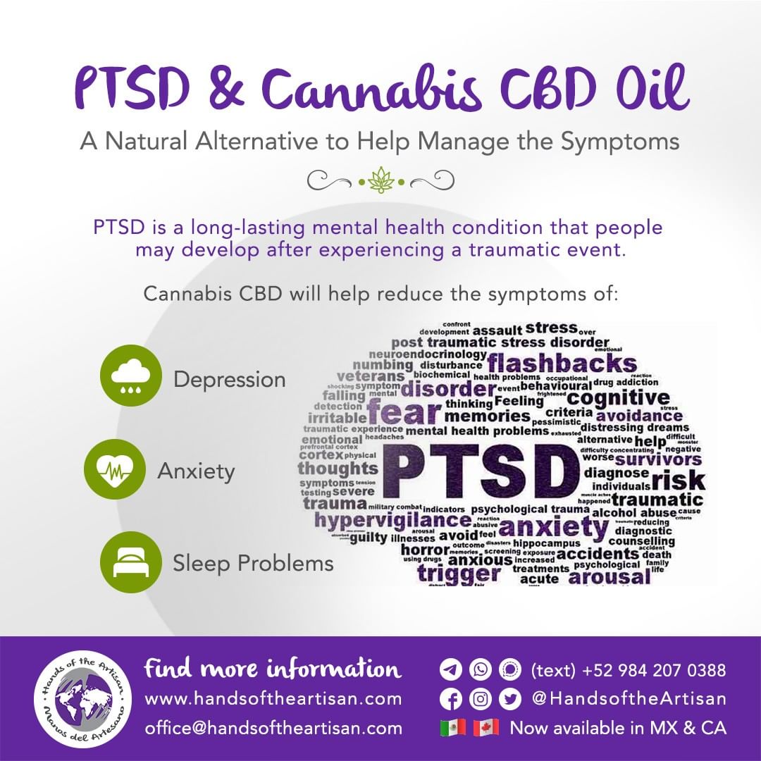 PTSD & Cannabis CBD Oil