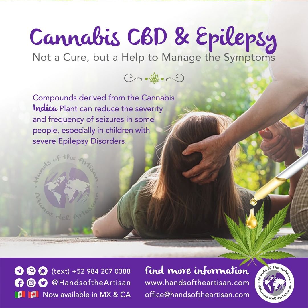 Cannabis CBD & Epilepsy