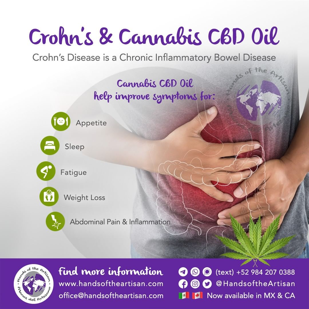 Crohn's Disease & Cannabis CBD Oil