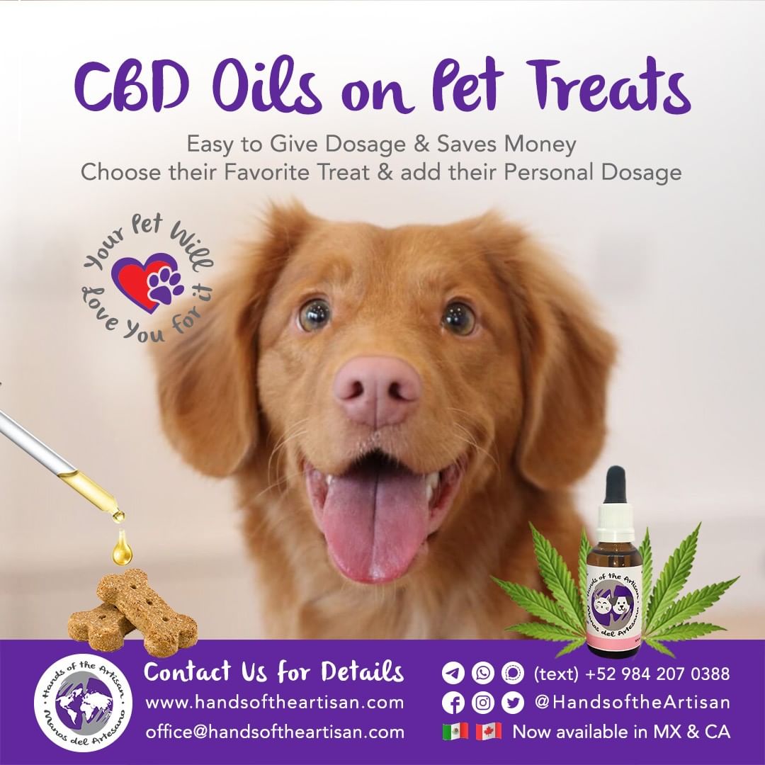 CBD Oils on Pet Treats