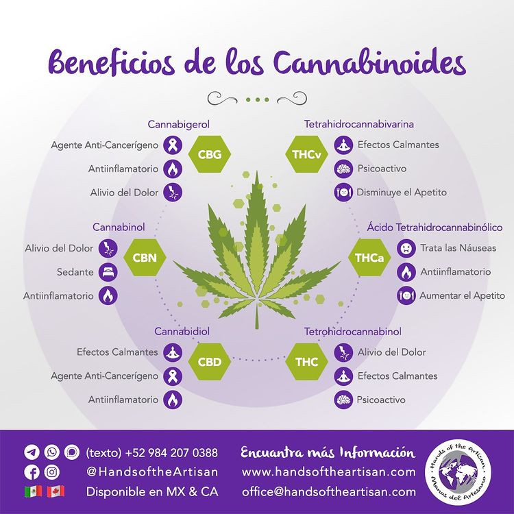 Beneficios de los Cannabinoides
