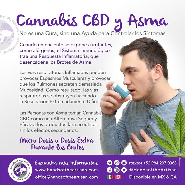 Cannabis CBD y Asma