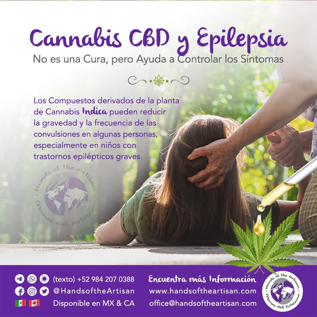 Cannabis CBD y Epilepsia