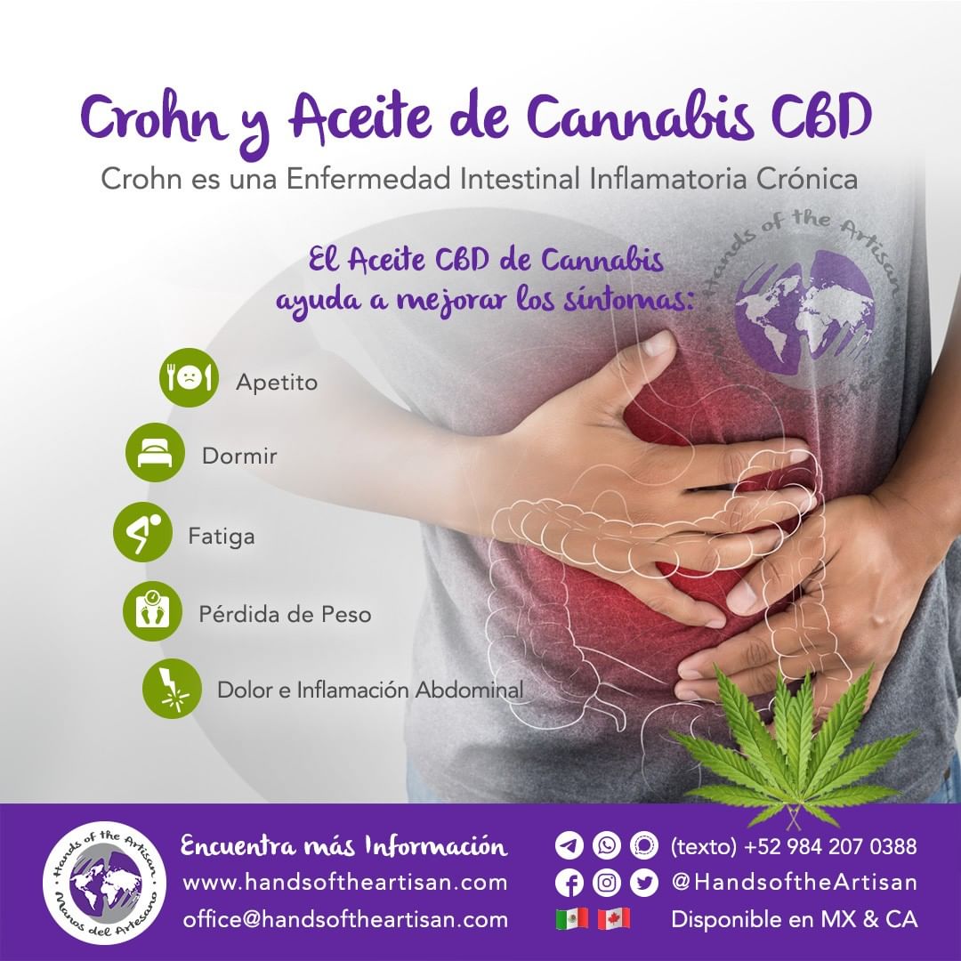 Crohn y Aceite de Cannabis CBD