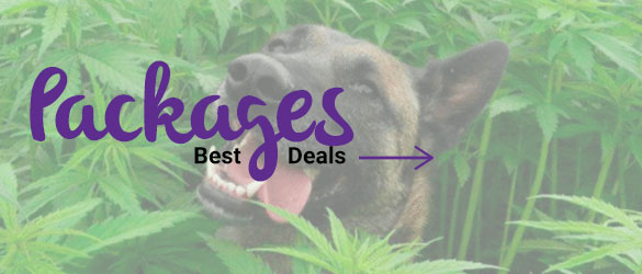 CBD Oils Packages for Pets