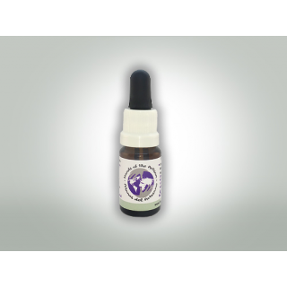 Blend 1:1 CBD Oil 10 ml