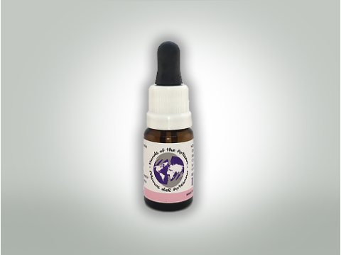 Aceite de CBD Indica 10:1 10 ml