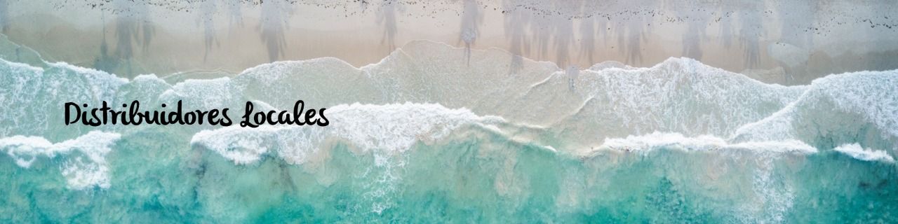 Distribuidores Locales Hands of the Artisan